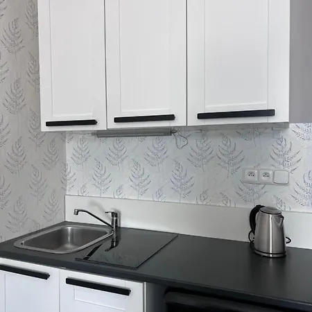 Downtown Apartment Plzen